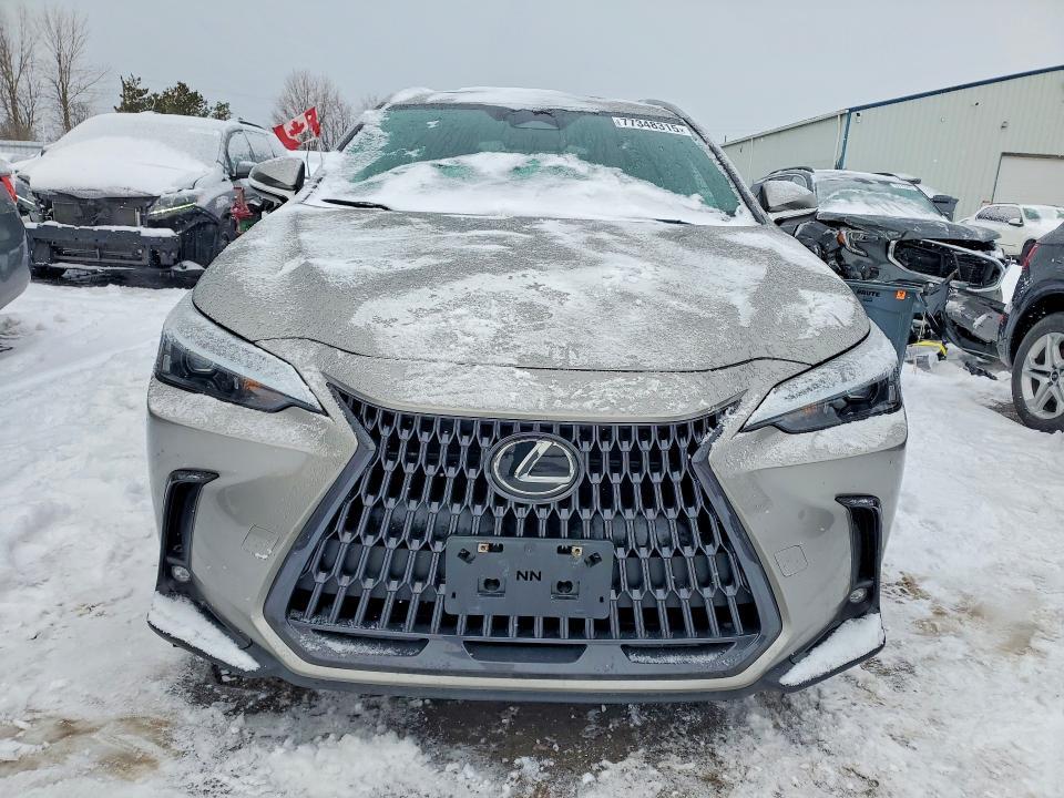 2023 Lexus NX