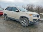 2011 KIA Sorento Base