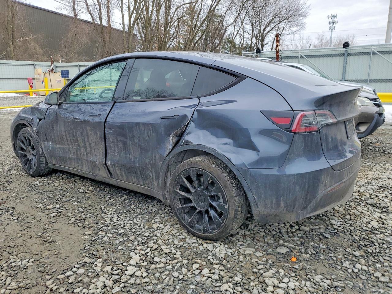 2020 Tesla Model y