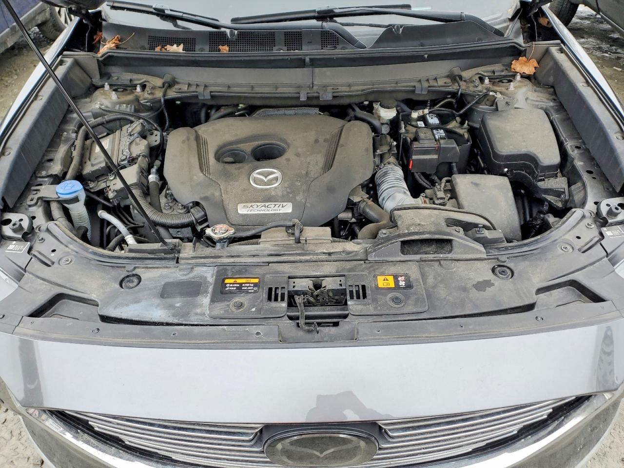 2019 Mazda Cx-9 Signature