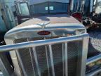 2012 Peterbilt 389 Semi Truck