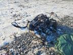 2001 Arctic Cat C Cat Snowmobile