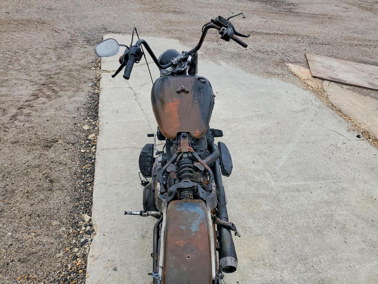 2021 Harley-Davidson Flsl