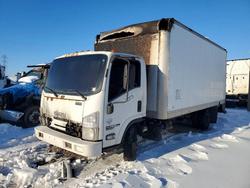 Salvage trucks for sale at Glassboro, NJ auction: 2011 Isuzu NPR