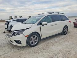 2019 Honda Odyssey exl for sale in Taylor, TX