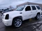 2008 Cadillac Escalade Luxury