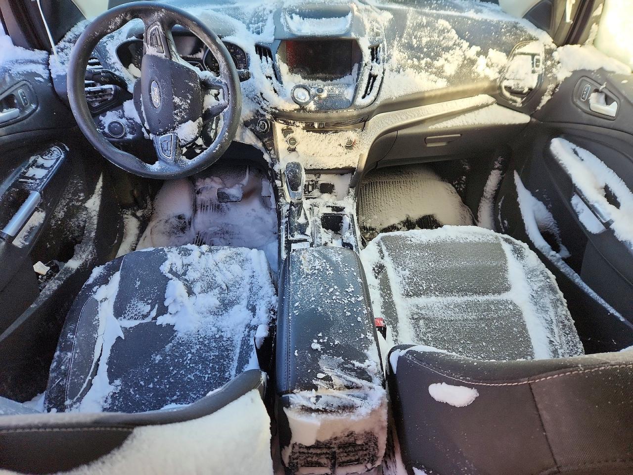 2019 Ford Escape se