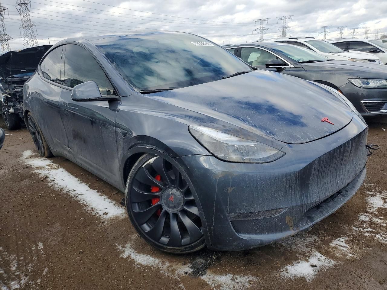 2023 Tesla Model y