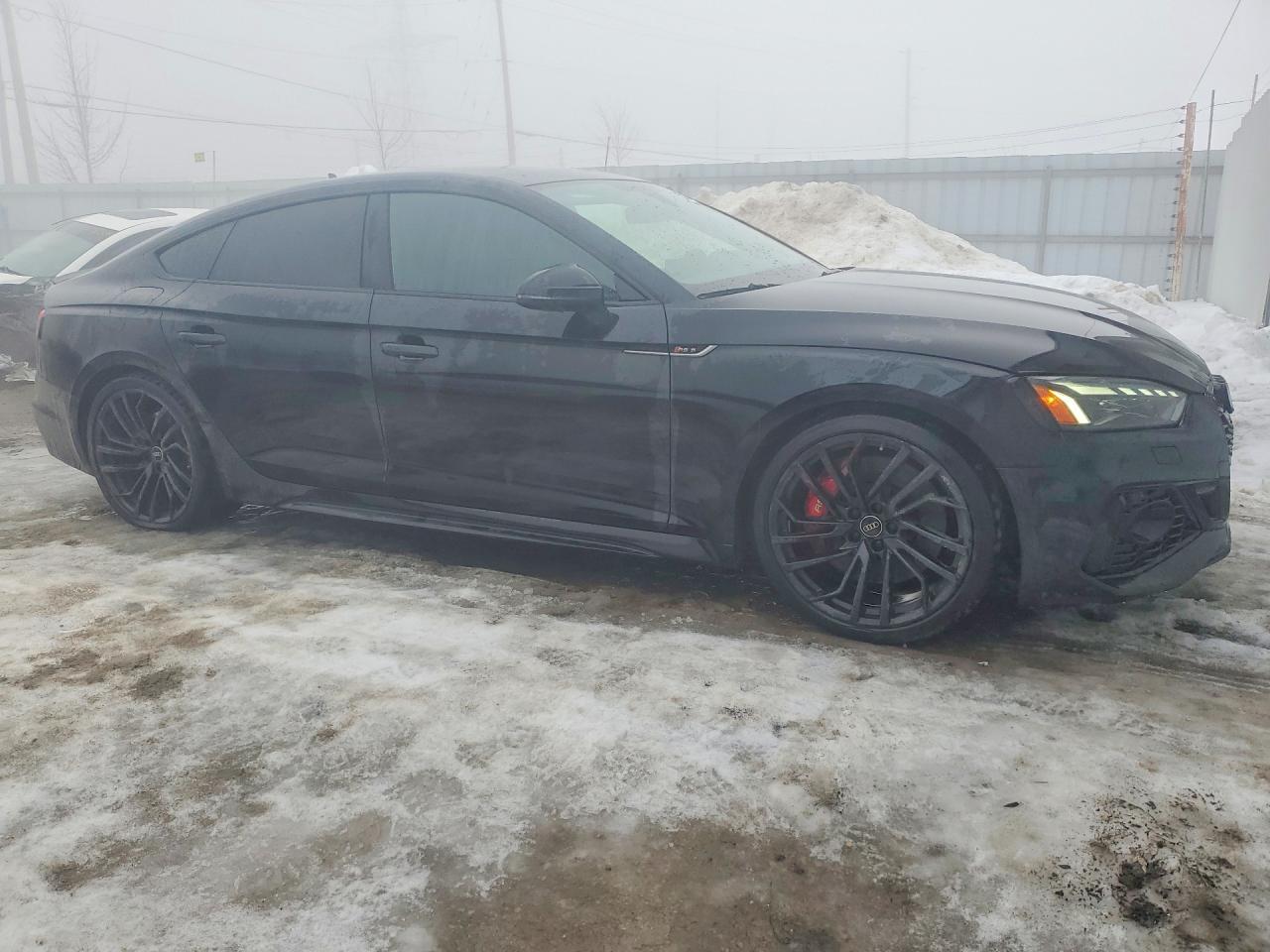 2023 Audi RS5