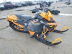 1999 Other 2008 SKI-DOO Snowmobile