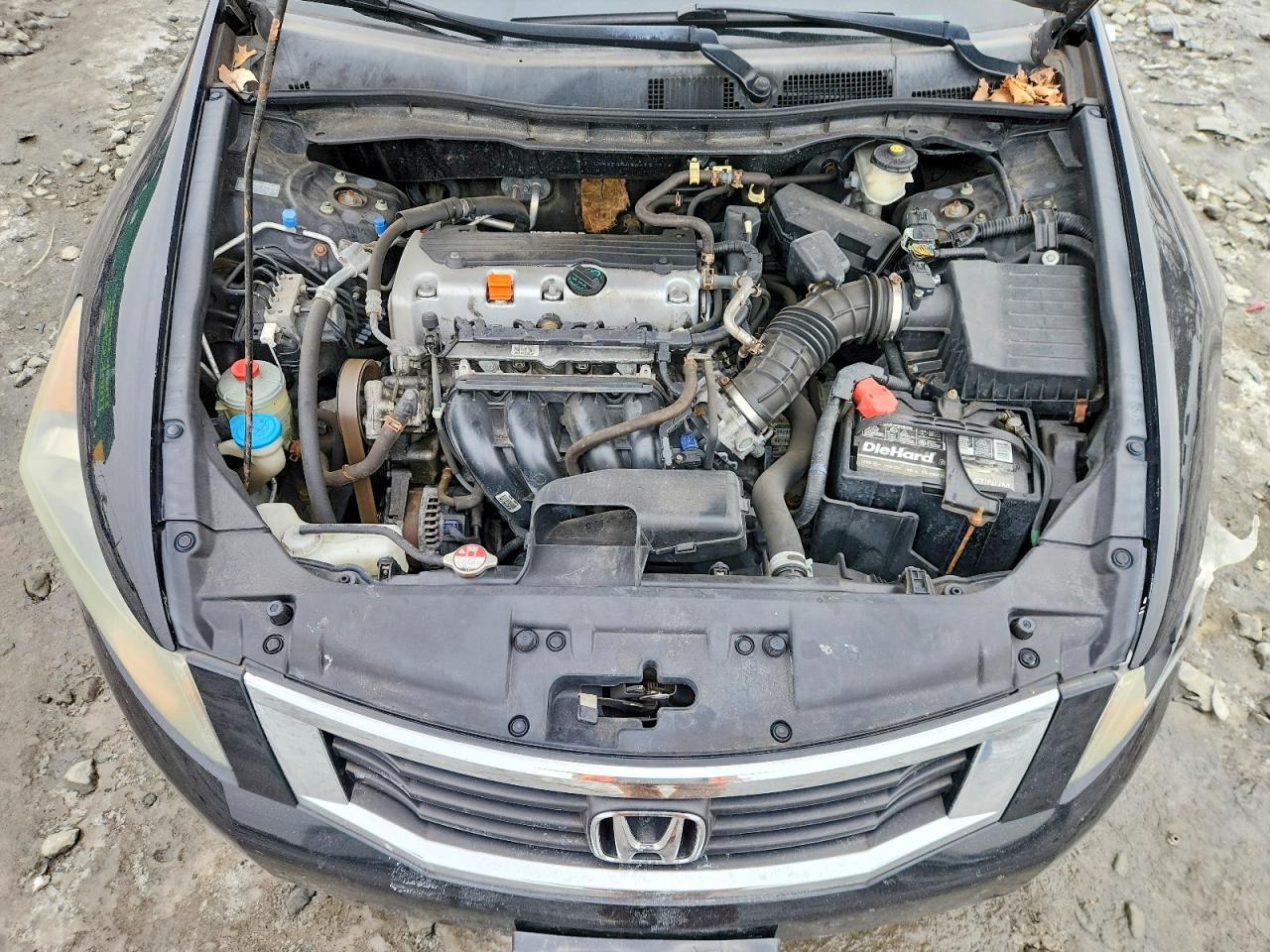 2010 Honda Accord lxp