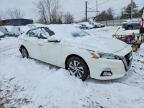 2019 Niss Altima s