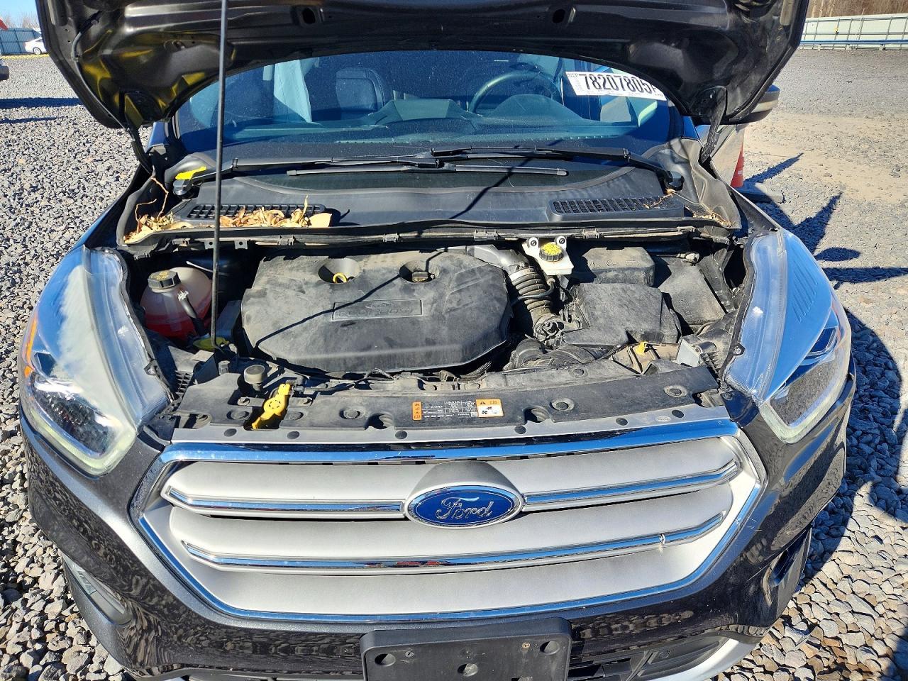 2019 Ford Escape Titanium