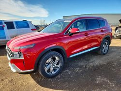 Hyundai salvage cars for sale: 2021 Hyundai Santa fe sel