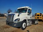 2013 Freigliner 2013 Freightliner Cascadia Truck Cab AND Chassis