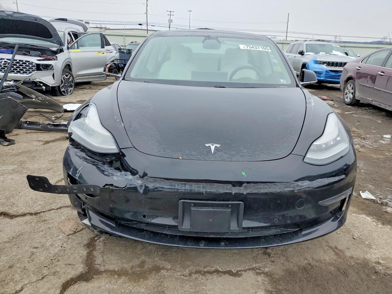2019 Tesla Model 3