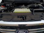 2024 Ford F150 Lariat
