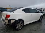2013 Scion TC