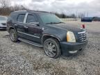 2008 Cadillac Escalade Luxury
