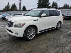 Infiniti Qx56 salvage cars for sale: 2013 Infiniti Qx56