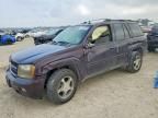 2009 Chevrolet Trailblazer lt