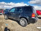 2005 Ford Escape Limited