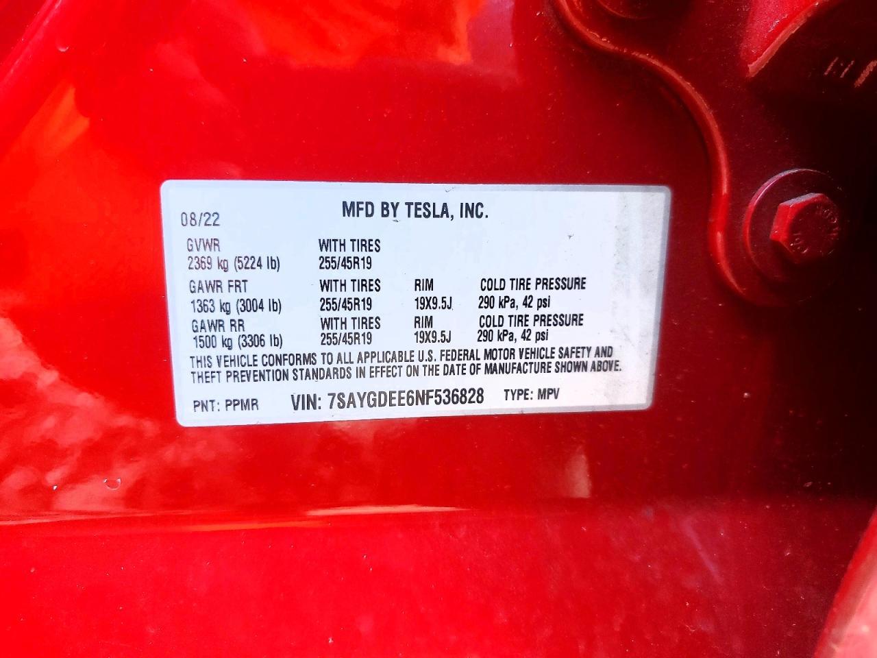 2022 Tesla Model y