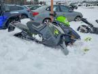 2021 Arctic Cat 800