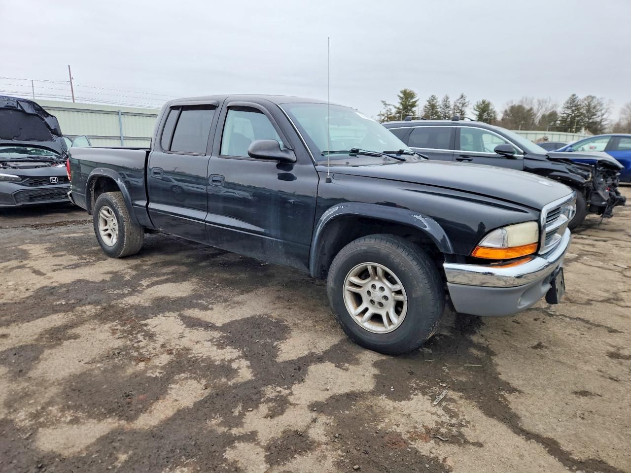 2004 Dodge Dakota Quad SLT
