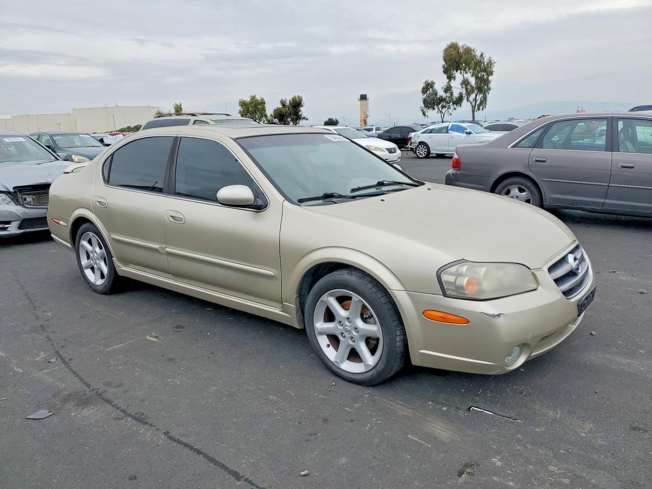 2003 Nissan Maxima gle