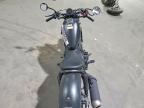 2025 Honda CMX500