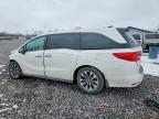 2021 Honda Odyssey exl