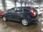 2010 Honda Cr-v exl