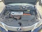 2010 Lexus Hs 250h