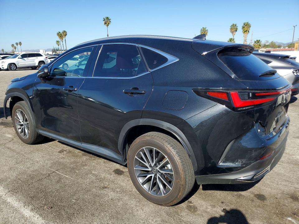 2024 Lexus Nx 350h Base