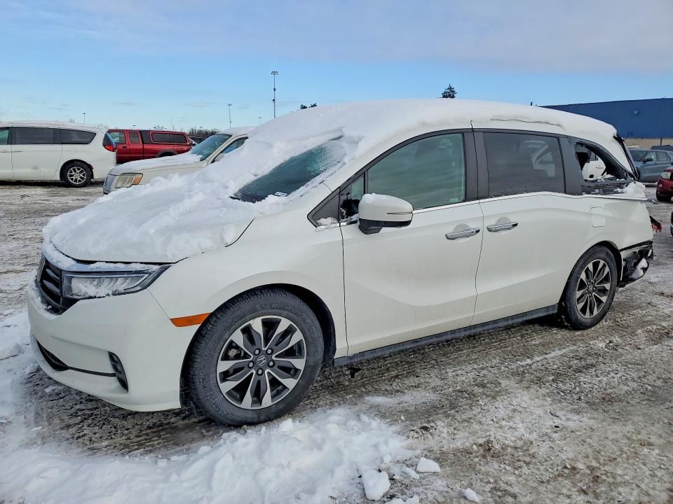 2021 Honda Odyssey exl