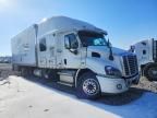2018 Freightliner Cascadia 1 BOX Truck