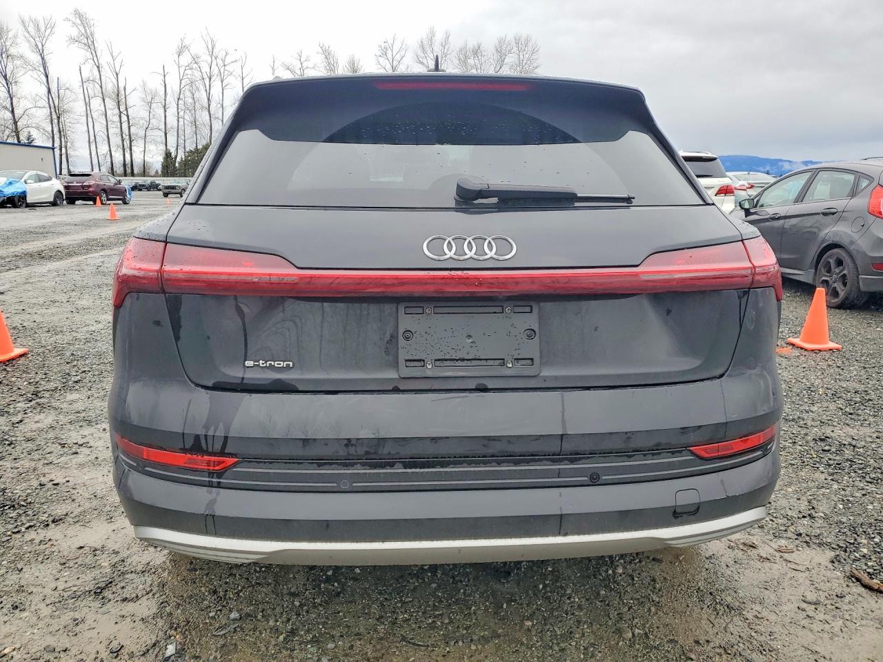 2019 Audi E-tron Premium Plus