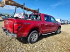 2025 Ford F150 XLT