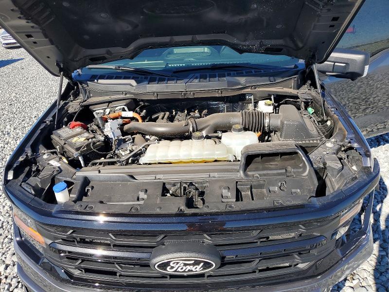 2025 Ford F150 XLT