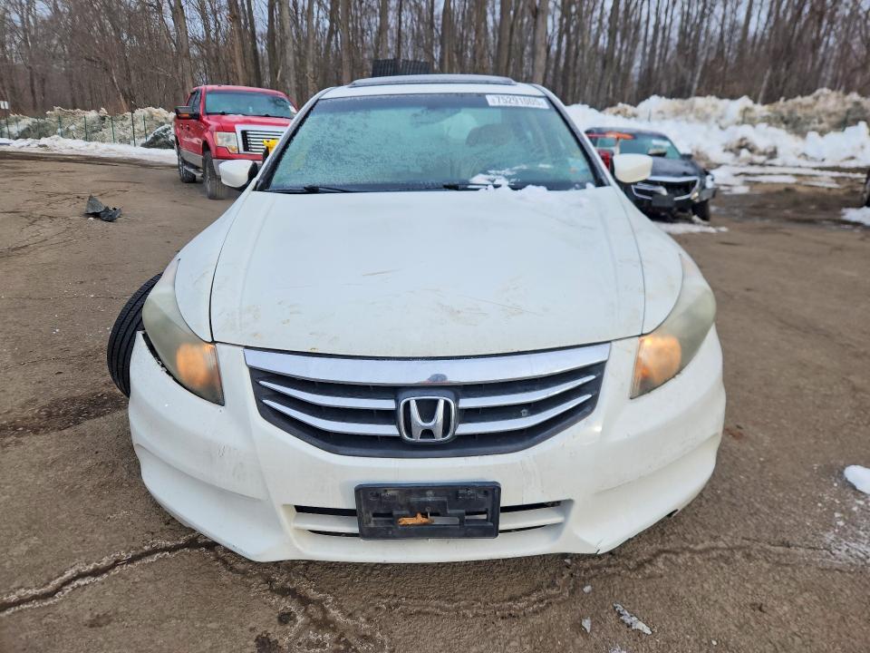 2011 Honda Accord exl