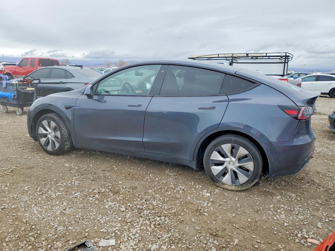 2020 Tesla Model y