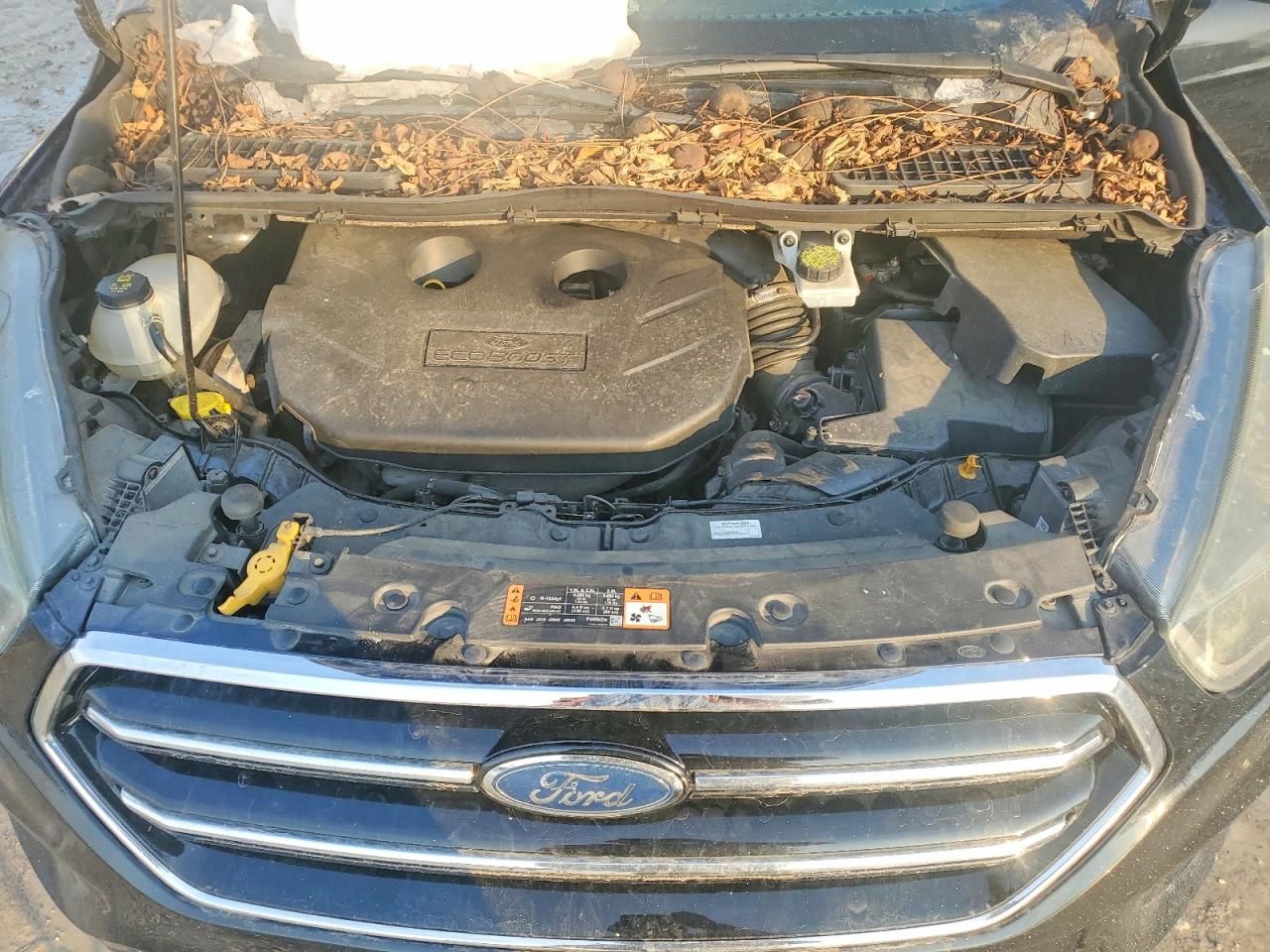 2017 Ford Escape Titanium