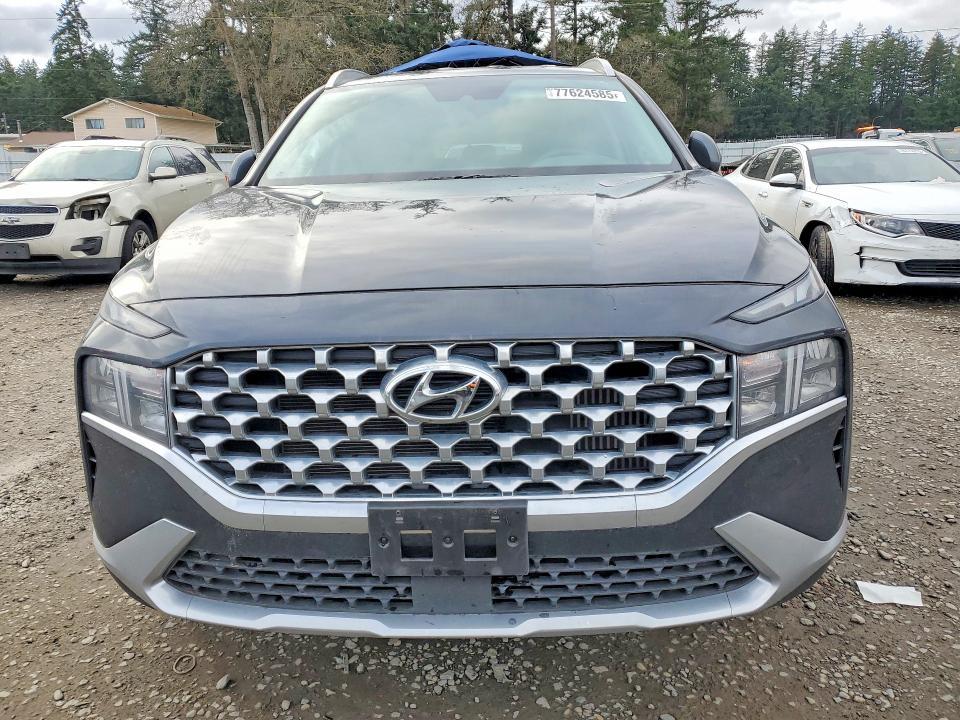 2023 Hyundai Santa fe Hybrid Blue