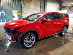Lexus salvage cars for sale: 2025 Lexus Nx 350h Base