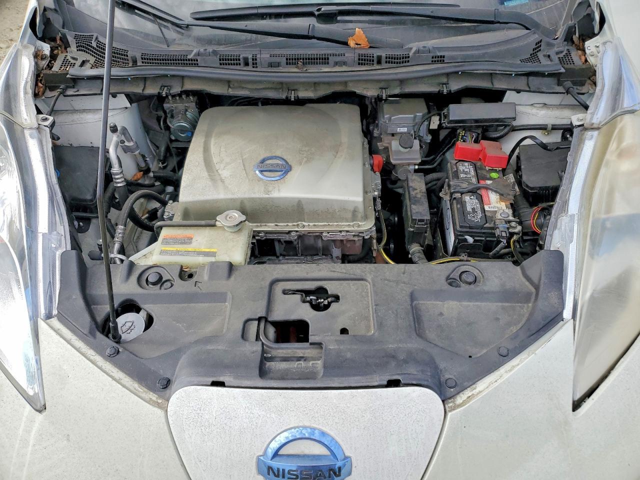 2016 Niss Leaf S-24