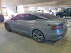 2020 Niss Maxima sl
