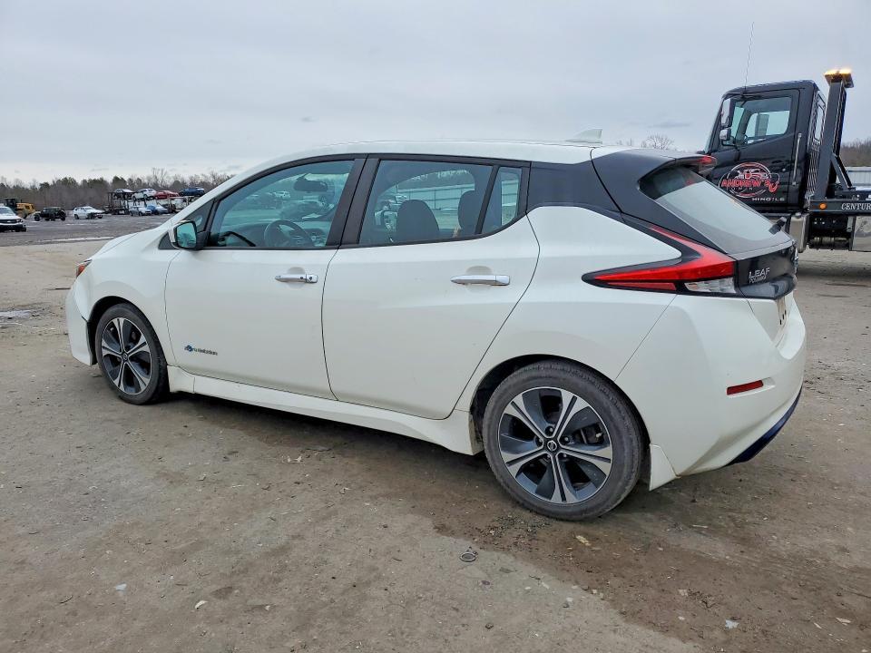 2018 Niss Leaf sv