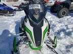 2016 Arctic Cat 2016 Arti Bearcat
