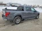 2025 Ford F150 xlt